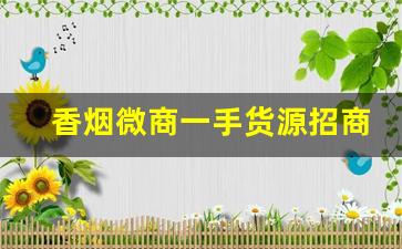 香烟微商一手货源招商-烟批发供应商同城