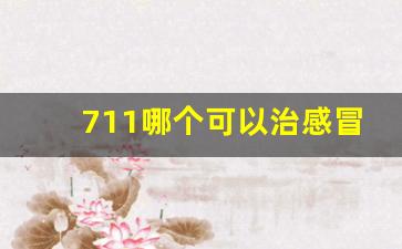 711哪个可以治感冒-711有体温计吗
