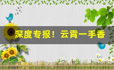 深度专报！云霄一手香烟货源招代理“耿耿在怀”