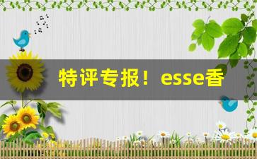 特评专报！esse香烟爆珠价格表图“各随其好”