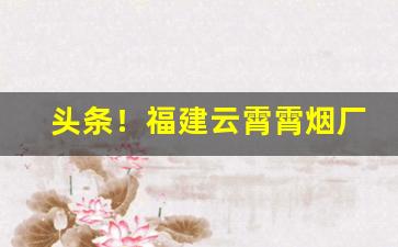 头条！福建云霄霄烟厂“啜菽饮水”