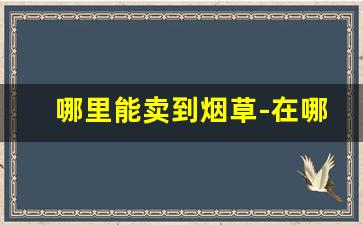 哪里能卖到烟草-在哪里找烟草商