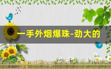 一手外烟爆珠-劲大的外烟爆珠