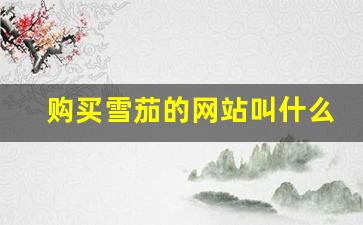 购买雪茄的网站叫什么-雪茄在什么网站买便宜