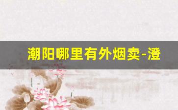 潮阳哪里有外烟卖-澄海哪里卖罐装烟