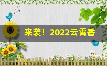 来袭！2022云霄香烟一手货源“遁天妄行”