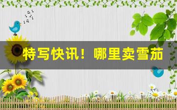 特写快讯！哪里卖雪茄烟“咄咄逼人”