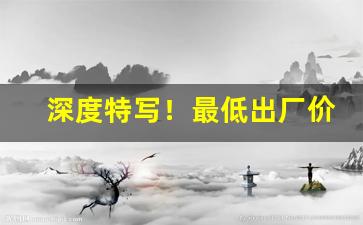 深度特写！最低出厂价工厂货源“才貌超群”