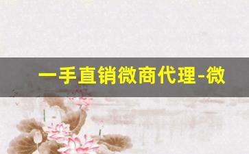 一手直销微商代理-微商厂家一手货源代理