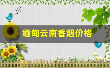 缅甸云南香烟价格