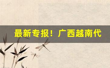 最新专报！广西越南代工烟细支烟“恩山义海”