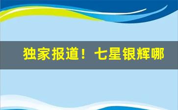 独家报道！七星银辉哪里可以买“倒蹅门”