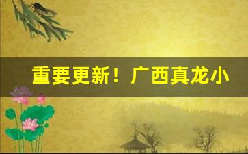 重要更新！广西真龙小白龙烟多少钱一包“对簿公堂”